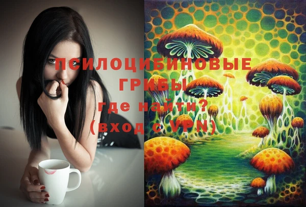 кокс Алексеевка