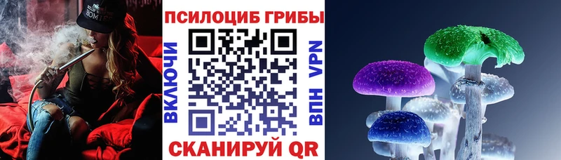мориарти Telegram  Александровск  Галлюциногенные грибы прущие грибы 